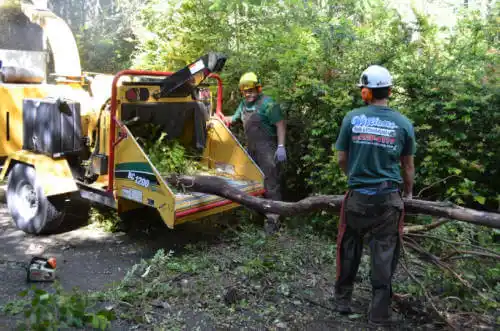 tree services Lyerly